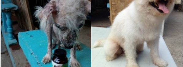 Branco - antes e depois